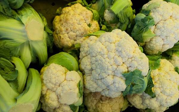 Alimentos prohibidos para los divertículos - Imagen con varias coliflor, las cuales no se recomiendan consumir durante los episodios de diverticulitis