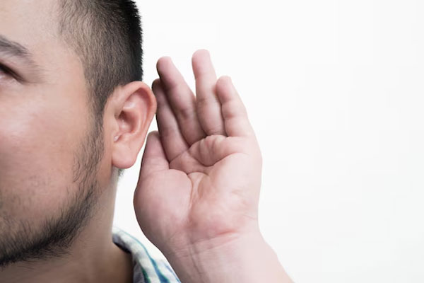 Tipos de orejas - Hombre de contextura gruesa y de orejas grandes se dispone a escuchar con atención