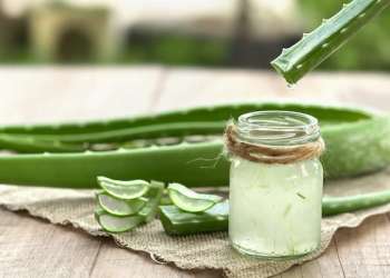 aloe vera para el cabello