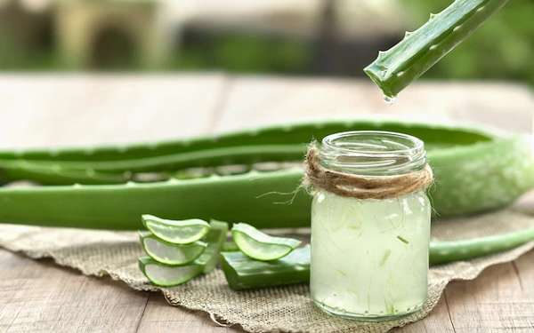 aloe vera para el cabello